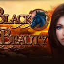 Black Beauty